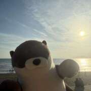 めろん 初江ノ水🫶 ぽちゃカワ女子専門店　藤沢湘南店