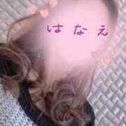 ヒメ日記 2026/02/20 12:46 投稿 明嵐華衣 五十路マダムエクスプレス横浜店（カサブランカグループ）