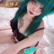 ヒメ日記 2026/02/19 09:25 投稿 宮乃嶋きくり クラブダイアモンド日本橋店