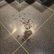 ヒメ日記 2026/02/17 15:16 投稿 一輪　月華 久留米デリヘルセンター