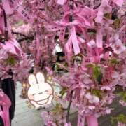 沙耶/さや 🌸4月🌸 ANEJE～アネージュ池袋～(ユメオト)