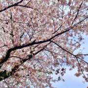 ヒメ日記 2026/03/30 10:59 投稿 大瀬良なつめ 鶯谷デッドボール