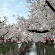 ヒメ日記 2026/04/05 11:49 投稿 くるみ 恥じらいエステ