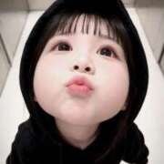 ヒメ日記 2026/02/20 10:32 投稿 うさこ The White