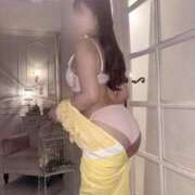 ヒメ日記 2026/03/05 01:15 投稿 うさこ The White