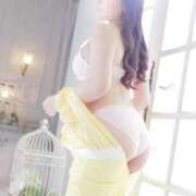 ヒメ日記 2026/03/07 02:19 投稿 うさこ The White