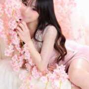 ヒメ日記 2026/04/02 21:05 投稿 うさこ The White