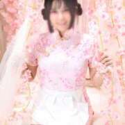 ヒメ日記 2026/04/07 14:27 投稿 うさこ The White