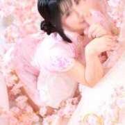 ヒメ日記 2026/04/09 04:14 投稿 うさこ The White