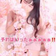 ヒメ日記 2026/04/10 08:26 投稿 うさこ The White