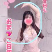 ヒメ日記 2026/04/11 06:47 投稿 うさこ The White