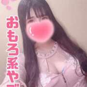 ヒメ日記 2026/04/11 08:28 投稿 うさこ The White