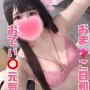 うさこ 💖あっは〜ん💖 The White