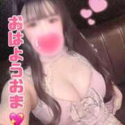 ヒメ日記 2026/04/18 12:19 投稿 うさこ The White