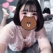 ヒメ日記 2026/04/21 12:13 投稿 うさこ The White