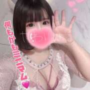 ヒメ日記 2026/04/22 06:07 投稿 うさこ The White