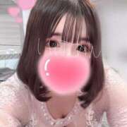 ヒメ日記 2026/04/23 11:03 投稿 うさこ The White