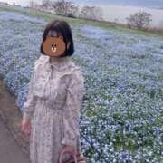 ヒメ日記 2026/04/25 08:19 投稿 うさこ The White