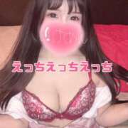 ヒメ日記 2026/04/25 08:36 投稿 うさこ The White