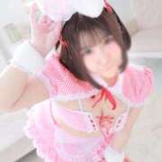 ヒメ日記 2026/04/26 11:23 投稿 うさこ The White