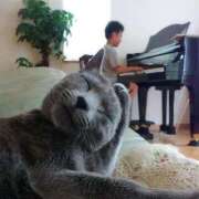 ヒメ日記 2026/02/17 15:09 投稿 まりな 完熟ばなな 谷九店