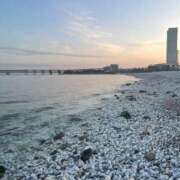 ヒメ日記 2026/03/15 20:12 投稿 朱羽しゅり 新ハイブリッドエステ エクスタシーPLUS