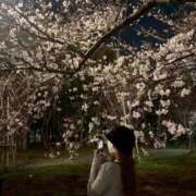 ヒメ日記 2026/04/04 22:12 投稿 朱羽しゅり 新ハイブリッドエステ エクスタシーPLUS