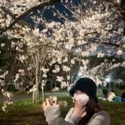 ヒメ日記 2026/04/07 03:02 投稿 朱羽しゅり 新ハイブリッドエステ エクスタシーPLUS