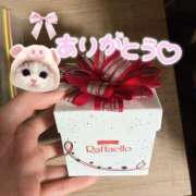 ヒメ日記 2026/03/20 08:09 投稿 さんご バイオレンス