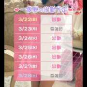 ヒメ日記 2026/03/22 16:41 投稿 さんご バイオレンス