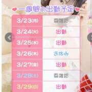 ヒメ日記 2026/03/24 08:35 投稿 さんご バイオレンス