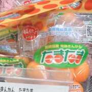 ヒメ日記 2026/02/26 14:56 投稿 サクラ★新人 人妻生レンタル-石巻-