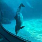 ヒメ日記 2026/03/10 14:26 投稿 サクラ★新人 人妻生レンタル-石巻-