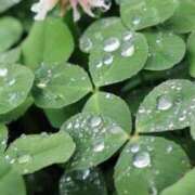 ヒメ日記 2026/04/02 15:16 投稿 サクラ★新人 人妻生レンタル-石巻-