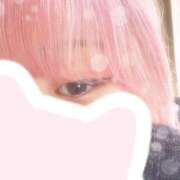 ヒメ日記 2026/02/20 15:32 投稿 かふか 錦糸町ちゃんこ