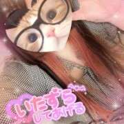 ヒメ日記 2026/03/07 14:33 投稿 さゆき いわき小名浜ちゃんこ