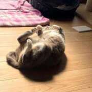 ヒメ日記 2026/03/16 17:03 投稿 さゆき いわき小名浜ちゃんこ