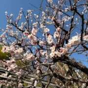 ヒメ日記 2026/03/01 20:45 投稿 あすな カワサキEROTIC（ソープランド）