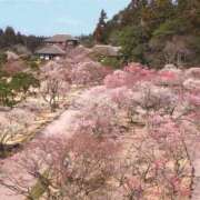 ヒメ日記 2026/02/23 08:33 投稿 長谷川 ともこ La elf（ラ・エルフ）