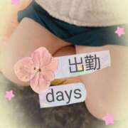 長谷川 ともこ 出勤しました♪ La elf（ラ・エルフ）