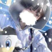 ヒメ日記 2026/03/14 18:14 投稿 煌らら ブルーバード