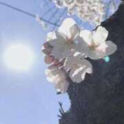 ヒメ日記 2026/03/30 12:38 投稿 小池詩花(しいか) 東京不倫～とうきょうふりん～