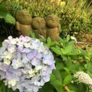 ヒメ日記 2026/03/31 11:38 投稿 小池詩花(しいか) 東京不倫～とうきょうふりん～