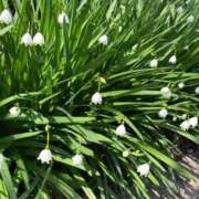 ヒメ日記 2026/04/07 02:48 投稿 小池詩花(しいか) 東京不倫～とうきょうふりん～