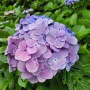 ヒメ日記 2026/06/09 12:58 投稿 小池詩花(しいか) 東京不倫～とうきょうふりん～
