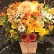 ヒメ日記 2026/02/12 18:08 投稿 及川 真琴 白夜