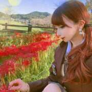 ヒメ日記 2026/02/25 22:45 投稿 及川 真琴 白夜