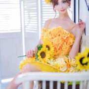 ヒメ日記 2026/03/21 10:01 投稿 及川 真琴 白夜