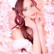 ヒメ日記 2026/03/22 12:05 投稿 及川 真琴 白夜