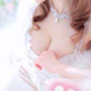 ヒメ日記 2026/03/29 07:45 投稿 及川 真琴 白夜